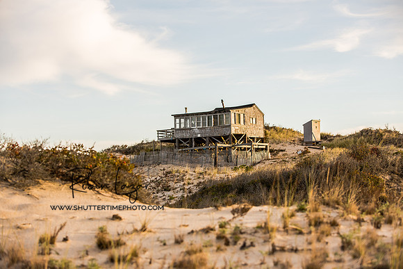 Dunes in Provincetown