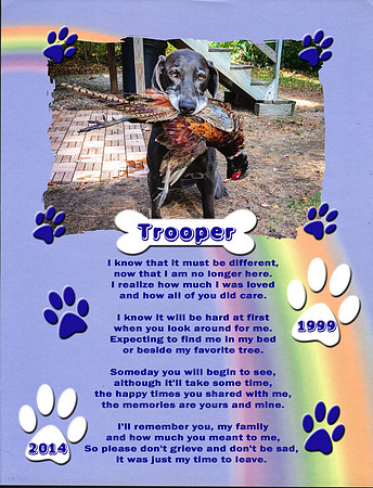 Trooper