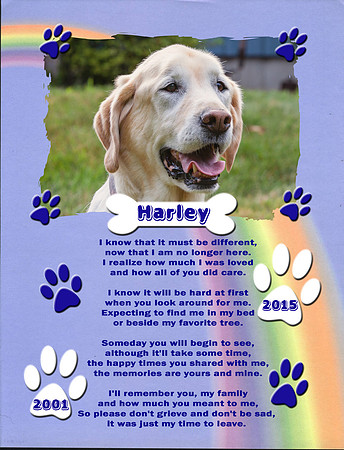 Harley