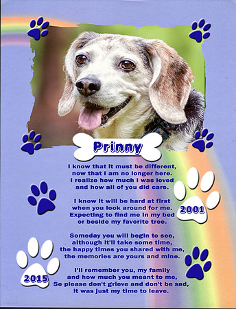 Prinny