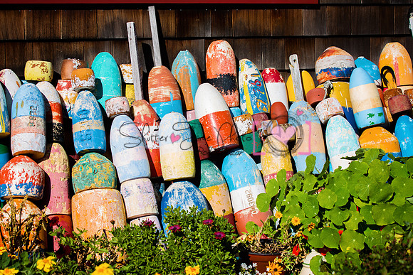 Buoys In Rockport