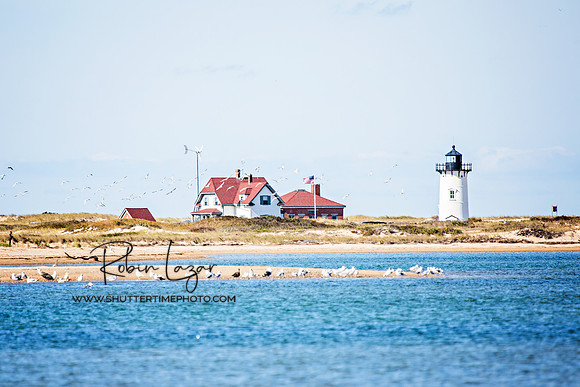 Race Point Light