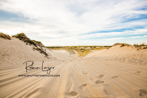 Dunes in Provincetown