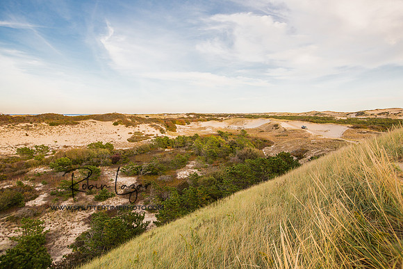 Dunes in Provincetown