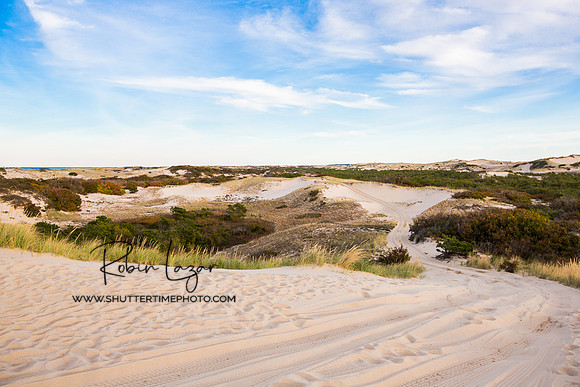 Dunes in Provincetown