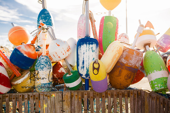 Buoys In Provincetown