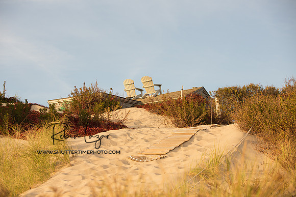 Dunes in Provincetown