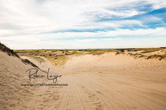 Dunes in Provincetown