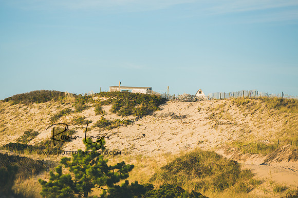 Dunes in Provincetown