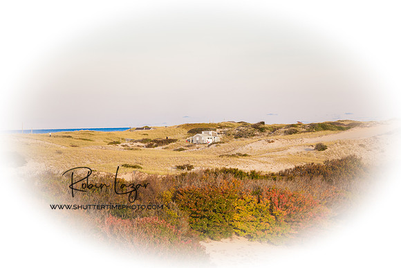 Dunes in Provincetown